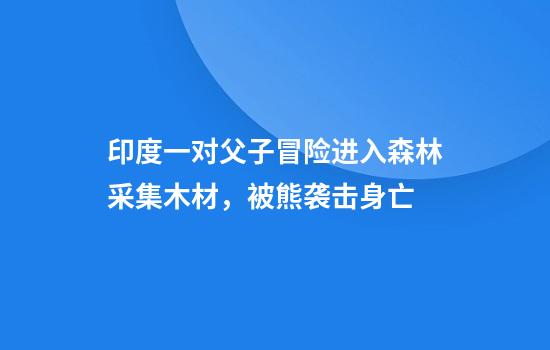 印度一对父子冒险进入森林采集木材，被熊袭击身亡