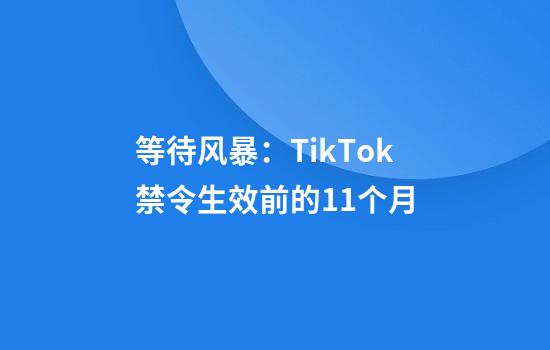 等待风暴：TikTok禁令生效前的11个月