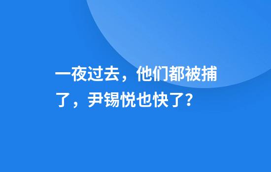 一夜过去，他们都被捕了，尹锡悦也快了？