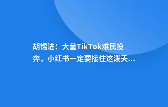 胡锡进：大量TikTok难民投奔，小红书一定要接住这泼天的流量！