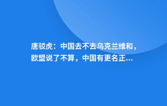唐驳虎：中国去不去乌克兰维和，欧盟说了不算，中国有更名正言顺的手段