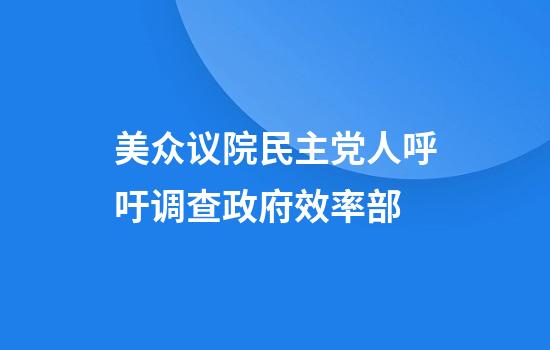 美众议院民主党人呼吁调查政府效率部