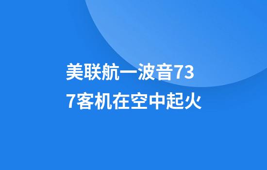 美联航一波音737客机在空中起火