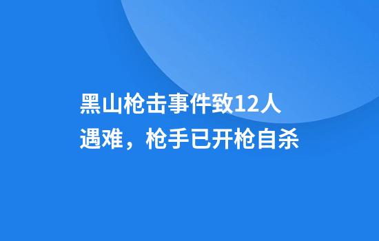 黑山枪击事件致12人遇难，枪手已开枪自杀