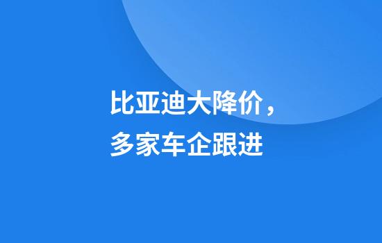 比亚迪大降价,多家车企跟进