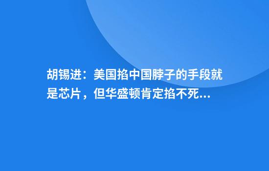 胡锡进：美国掐中国脖子的手段就是芯片，但华盛顿肯定掐不死我们