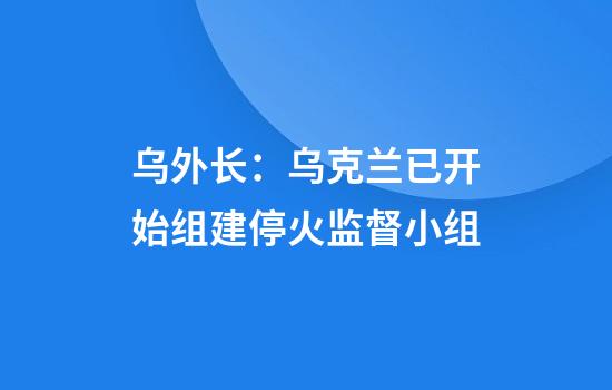 乌外长：乌克兰已开始组建停火监督小组