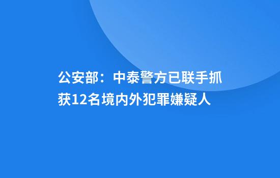 公安部：中泰警方已联手抓获12名境内外犯罪嫌疑人