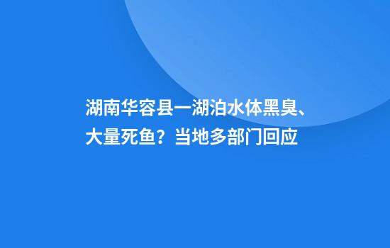湖南华容县一湖泊水体黑臭、大量死鱼？当地多部门回应
