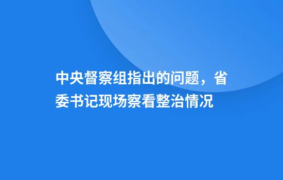 中央督察组指出的问题，省委书记现场察看整治情况