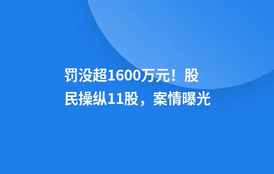 罚没超1600万元！股民操纵11股，案情曝光