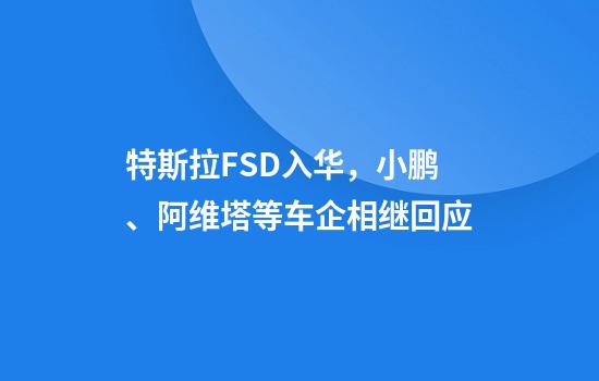 特斯拉FSD入华，小鹏、阿维塔等车企相继回应