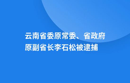 云南省委原常委、省政府原副省长李石松被逮捕
