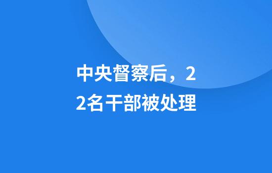 中央督察后，22名干部被处理