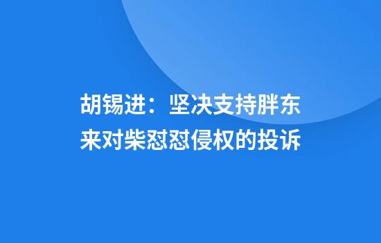 胡锡进：坚决支持胖东来对柴怼怼侵权的投诉