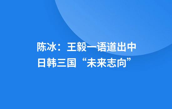 陈冰：王毅一语道出中日韩三国“未来志向”