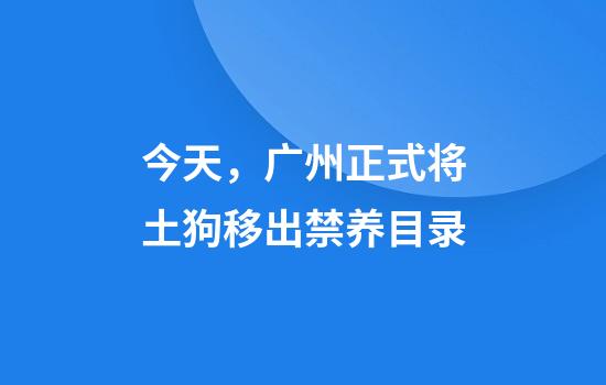 今天，广州正式将土狗移出禁养目录