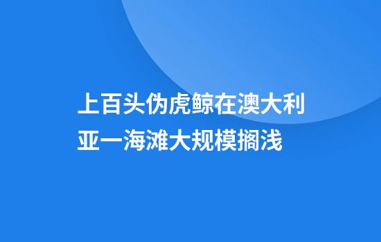 上百头伪虎鲸在澳大利亚一海滩大规模搁浅