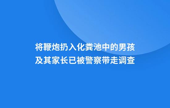 将鞭炮扔入化粪池中的男孩及其家长已被警察带走调查