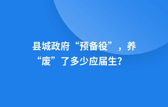 县城政府“预备役”，养“废”了多少应届生？