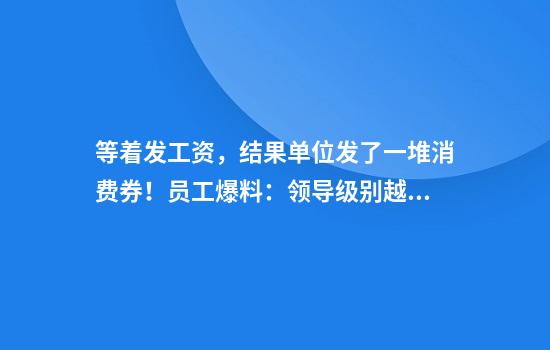 等着发工资，结果单位发了一堆消费券！员工爆料：领导级别越高，分得越多！律师称“违法”，人社部门：已接到投诉