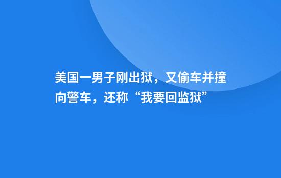 美国一男子刚出狱，又偷车并撞向警车，还称“我要回监狱”