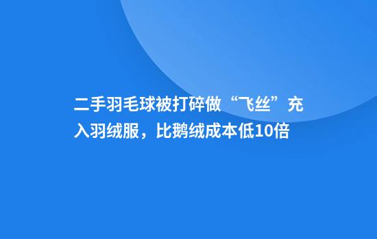 二手羽毛球被打碎做“飞丝”充入羽绒服，比鹅绒成本低10倍
