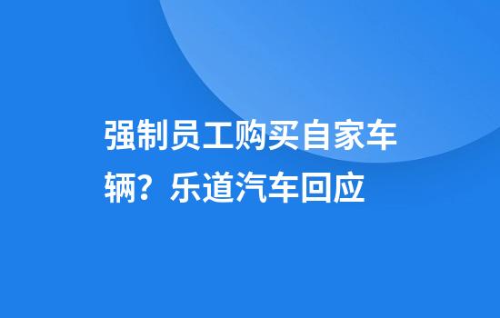 强制员工购买自家车辆？乐道汽车回应