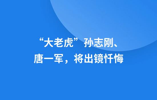 “大老虎”孙志刚、唐一军，将出镜忏悔
