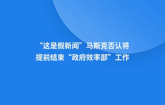 “这是假新闻”马斯克否认将提前结束“政府效率部”工作
