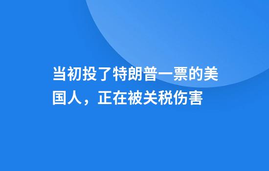 当初投了特朗普一票的美国人，正在被关税伤害