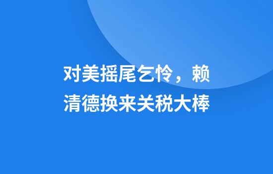 对美摇尾乞怜，赖清德换来关税大棒