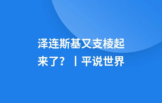泽连斯基又支棱起来了？丨平说世界