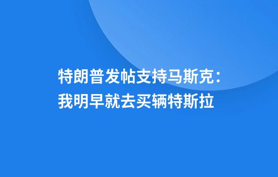特朗普发帖支持马斯克：我明早就去买辆特斯拉