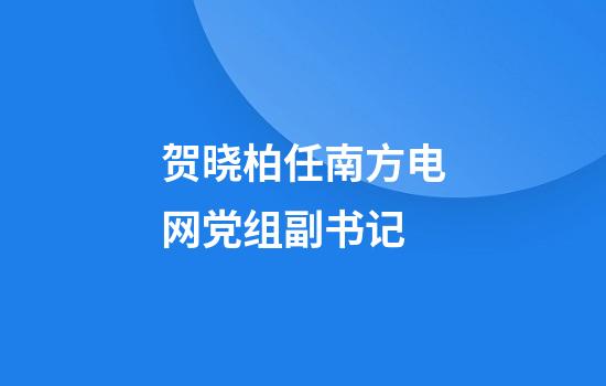 贺晓柏任南方电网党组副书记