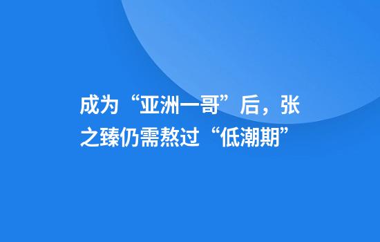成为“亚洲一哥”后，张之臻仍需熬过“低潮期”