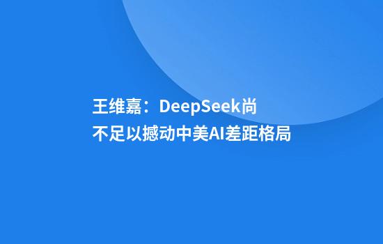 王维嘉：DeepSeek尚不足以撼动中美AI差距格局