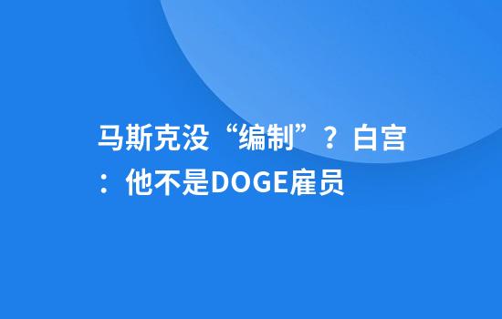 马斯克没“编制”？白宫：他不是DOGE雇员