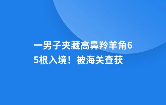 一男子夹藏高鼻羚羊角65根入境！被海关查获