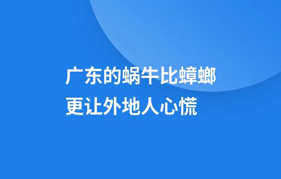 广东的蜗牛比蟑螂更让外地人心慌