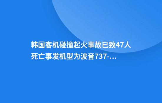 韩国客机碰撞起火事故已致47人死亡事发机型为波音737-800