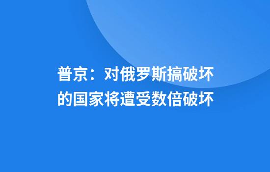 普京：对俄罗斯搞破坏的国家将遭受数倍破坏