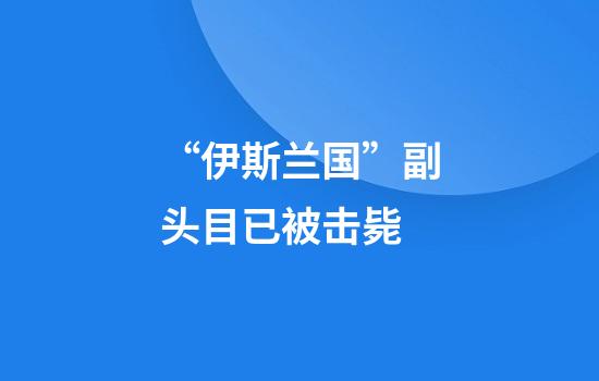 “伊斯兰国”副头目已被击毙