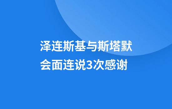 泽连斯基与斯塔默会面连说3次感谢