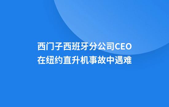 西门子西班牙分公司CEO在纽约直升机事故中遇难
