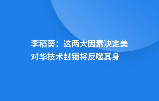 李稻葵：这两大因素决定美对华技术封锁将反噬其身