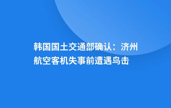 韩国国土交通部确认：济州航空客机失事前遭遇鸟击