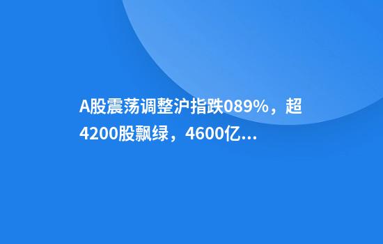 A股震荡调整沪指跌0.89%，超4200股飘绿，4600亿市值巨头逆势涨停
