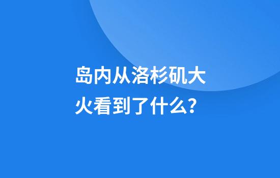 岛内从洛杉矶大火看到了什么？