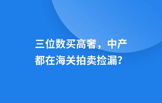 三位数买高奢，中产都在海关拍卖捡漏？